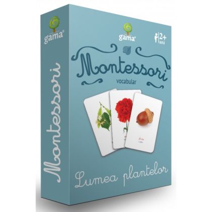 Vocabular lumea plantelor
