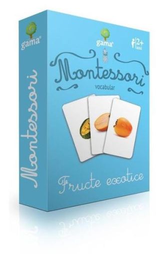 Vocabular.Fructe exotice