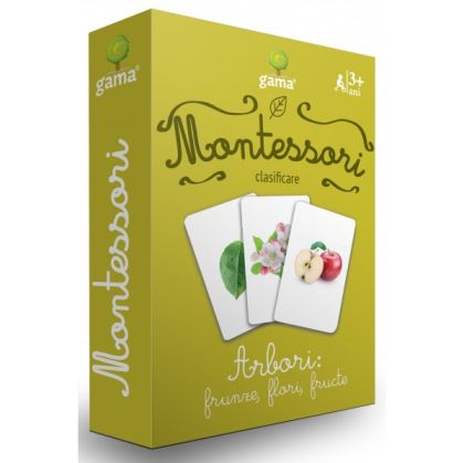 Insecte din romania montessori