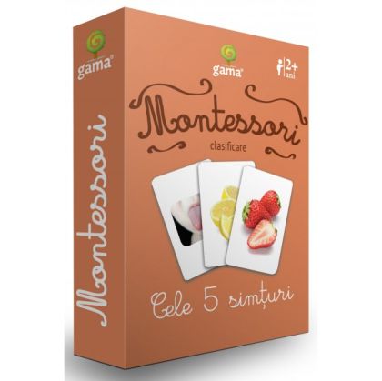 Cele 5 simturi montessori