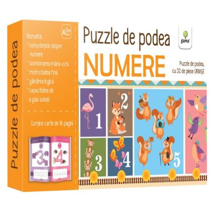Numere/puzzle de podea