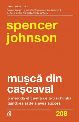 Musca din cascaval-curtea veche