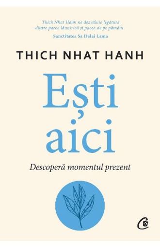 Esti aici