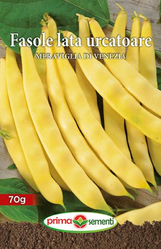 Fasole urcatoare meraviglia di ven.70gr