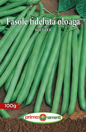 Fasole oloaga wotter 100g