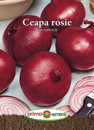 Ceapa rosie Brunswick