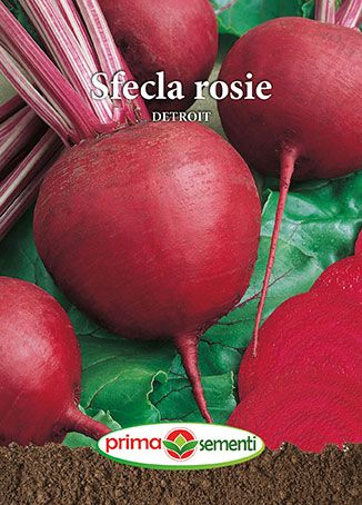 Sfecla rosie Detroit