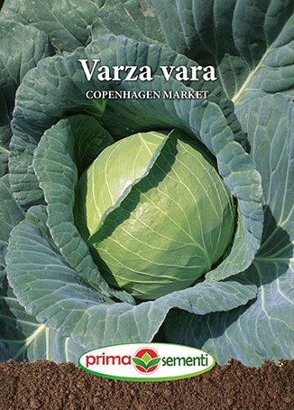 Varza vara Copenhagen Market