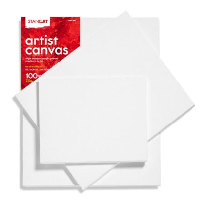 Panza pictura canvas Standard pe sasiu 45x60cm 602114