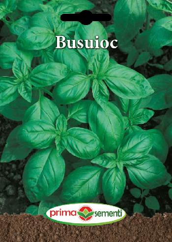 Gp busuioc