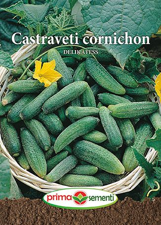 Gp castraveti delikatess