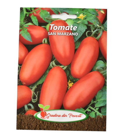 Gp tomate san marzano