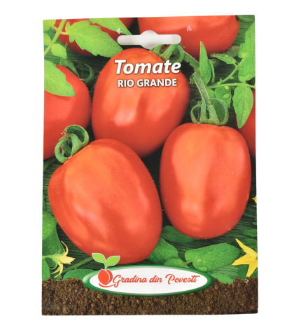 Gp tomate rio grande