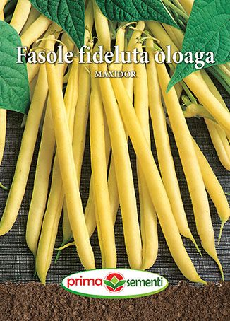 Ps fasole oloaga Maxidor 250gr