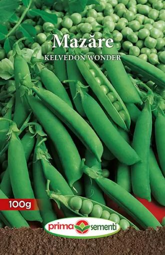 Mazare kelvedon wonder 100gr