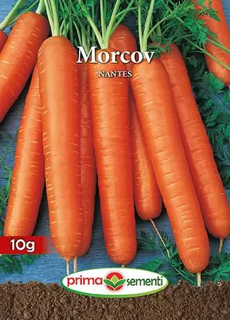 Morcov nantes 10gr