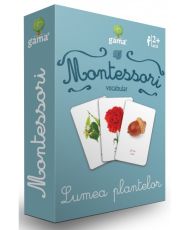 Vocabular lumea plantelor