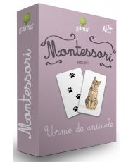 Urme de animale montessori