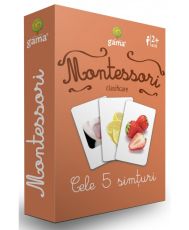 Cele 5 simturi montessori