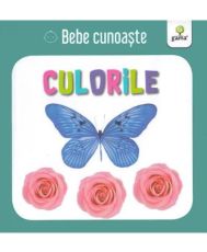 Culorile/ bebe cunoaste