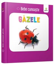 Gazele/ bebe cunoaste