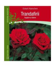 Trandafirii: ingrijire si taiere