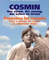 Povestea lui cosmin