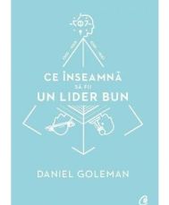 Ce inseamna sa fii un lider bun
