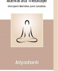 Adevarata meditatie - Adyashanti