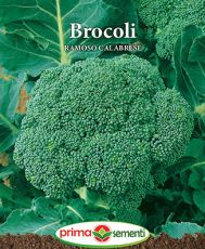 Brocoli ramoso calabrese