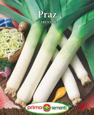 Praz carentan