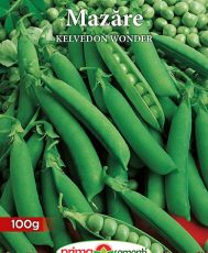 Mazare Kelvedon Wonder 100g