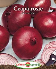 Ceapa rosie Brunswick