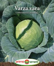 Varza vara Copenhagen Market
