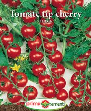 Tomate Ciliegia