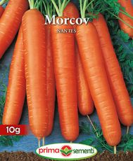 Morcov nantes 10g