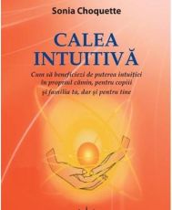 Calea intuitiva