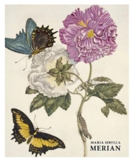 Maria Sibylla Merian