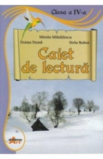Caiet de lucru cls 4,akademos 