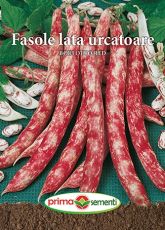 Fasole urcatoare Borlotto red 70gr