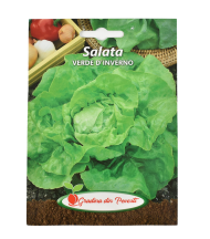 Gp salata verde d'inverno