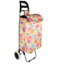 Carucior pentru cumparaturi multicolor