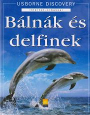 Balene si delfini-hu