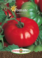 Gp tomate marmande