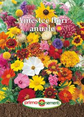 Gp amestec flori anuale