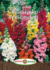 Gp gura leului