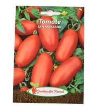 Gp tomate san marzano