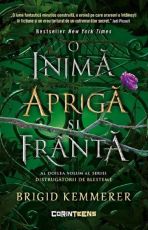 O inima apriga si franta. Seria Distrugatorii de blesteme Volumul 2