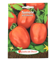 Gp tomate rio grande