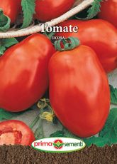 Gp tomate roma